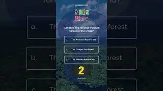 Ultimate Tropical Forest Quiz: Test Your Knowledge! Amazon, Congo or Borneo Rainforest?