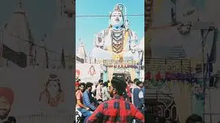 prachin shivala mandir ferozepur city #shivala #shivratri #ferozepur