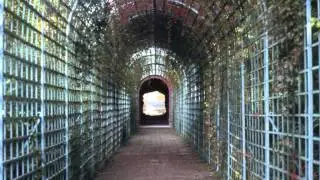 No Time For Thought  by Nigel Pennick