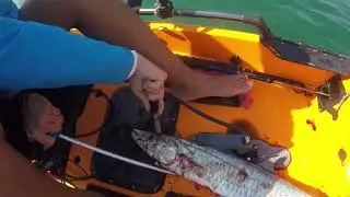 Kingfish Okuma Soletra SLX 15 Dubai Jan 2024