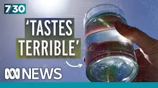 Even dogs won't drink the corrosive water in this town | 7.30