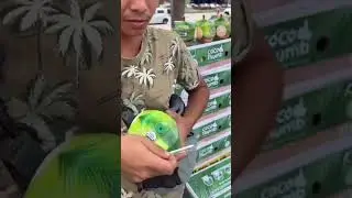 Cocco imballato nella plastica