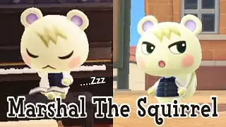Marshal The Squirrel Smug Villager Animal Crossing New Horizons ACNH