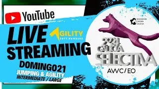 SELECTIVA AWC & EO - GALICIA 2024 (Domingo 21 - Intermediate & Large)