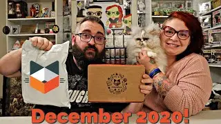 meowbox Mystery Subscription Cat Toy Treat Box - December 2020