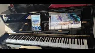 David Bazo - Venetian Rhapsody - A Venetian Polonaise (Acoustic Piano Arrangement)