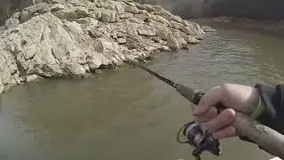Cherokee Lake smallmouth Jan 2026