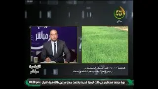 الزراعية مباشر| تعرف على طرق مكافحة المن والحشائش في القمح د عبد السلام المنشاوي 29/1/2020