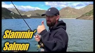Kokanee Salmon Fishing - Trolling Tactics
