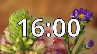 16 Minutes Timer with Music | Spring Timer