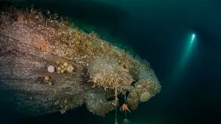 Scuba diving the WW2 wrecks of Narvik