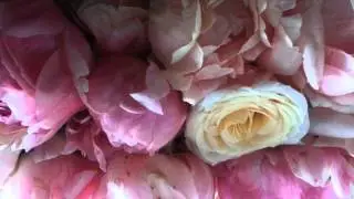 Flowers & Evocative Avant Garde Flute & Percussion Music - Mysterious Canadian Content