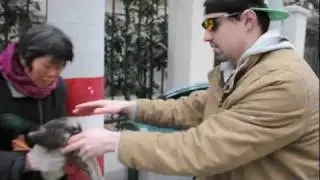 DONNIE DOES | Duckie