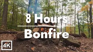 8 Hours Bonfire Sounds 🔥 Natural Crackling Fire for Sleep, Relaxation & Stress Relief