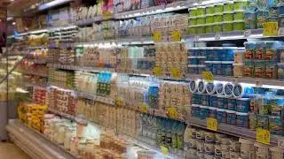 Scan Your Groceries Before You Buy! Halal Check App 🛒