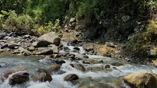 ☀️ Sunrise Stream Sounds | Natural Morning Ritual | Wake with Water's Gentle Touch