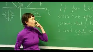 7. Dynamical Systems: Poincar&eacute;-Bendixson Theorem, RhoGTPase Oscillator & Rock-Paper-Scissors