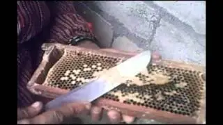 Mahuri ko katha