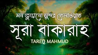 ঘরের সুরক্ষা ও শান্তির জন্য সূরা আল বাকারা শুনুন । Surah Baqarah Full Quran Recitation 