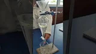 PR&Aacute;CTICA: SEPARACI&Oacute;N POR DECANTACI&Oacute;N