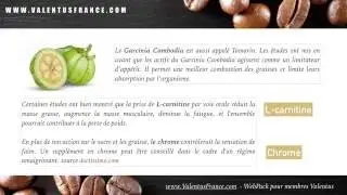 Slimroast de Valentus