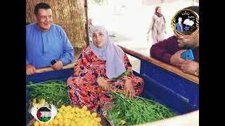 تاريخ قرية العمار الكبرىٰ من سجلات الفاطميين لسجلات محمد بك رمزي تاريخ بلد وأرض وناس
