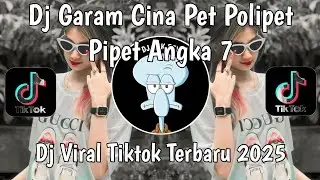 DJ GARAM CINA REMIX | PET POLIPET PIPET ANGKA 7 VIRAL TIKTOK TERBARU 2025 YANG KALIAN CARI !