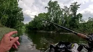 James River Fishing Downtown Lynchburg