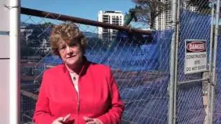 Jillian Skinner, Shadow Minister for Health