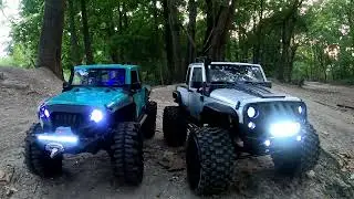 TRAXXAS TRX4 RUBICON et MST JP1 RUBICON