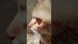 Macro Lens!