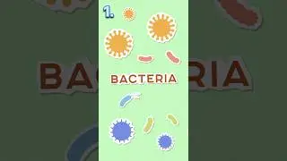 types of Micro organisms || science || #maths #science #facts