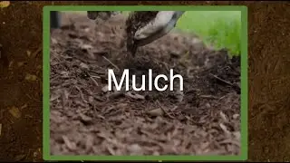 Principle 04 Mulch
