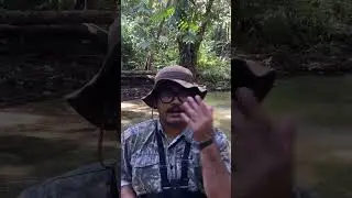 Let&rsquo;s #explore AIR TERJUN #youtubeshorts #shorts #vlog #malaysia #flyfishing #fishing #adventure