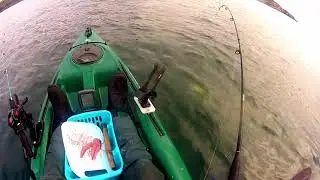 Kayak fishing Cod Ireland
