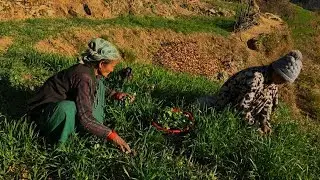 The Lifestyle Of Common People in The Village And Their Diet || Nepal🇳🇵 ||