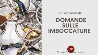 Rispondiamo alle vostre domande sulle imboccature #dressageforjumping #equitazione #cavalli