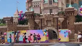Disney Friends Party at the Castle