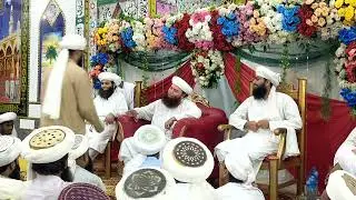 Peer Zafar Abbas Muhammadi Saifi sb Jaranwala New Saifi Naat Muhammad Naeem Zia Muhammadi Saifi sb 