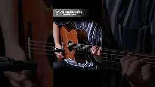 Neumann KM184 vs SASNiE Accufreq pickup demonstration #sasnie #shorts #guitar #acoustic #neumann