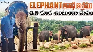 Pinnawala Elephant Orphanage, Sri Lanka |  Sri Lanka Ride Day 34 | ROW | Relaxnt Media