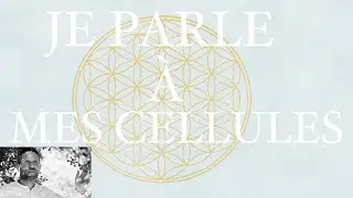 JE PARLE A MES CELULLES