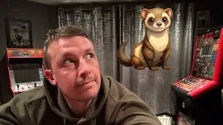 What has a ferret got to do with ale? 