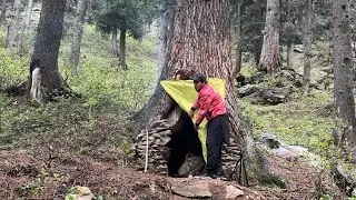 I Repair a Tree Shelter to Survive the night in heavy Rain.
