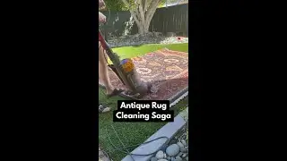 Antique Rug Cleaning Saga