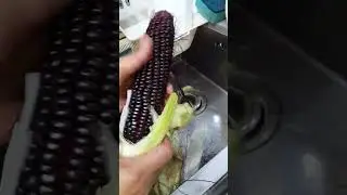 Lets boil black corn. #shortvideo #food #shorts