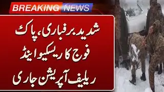 Pakistan Weather Emergency: Army in Action | Such News