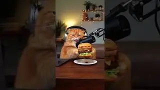 Fluffy Orange Cat Hosts Food Review Podcast