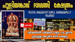 Puliyankavu Temple, Karingarapully | പുളിയൻ കാവ്, പാലക്കാട് | Puliyal Bhagavathy Temple - Part 2