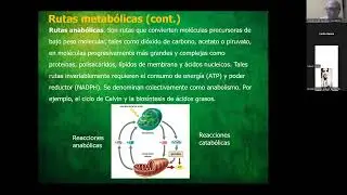 UTM Biología Tema 4-1 Metabolismo primario